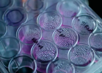 LAJMI I MIRË/ Rriten shpresat për gjetjen e kurës ndaj kancerit