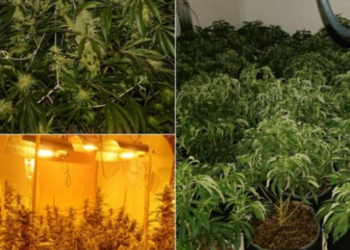 Treguan komshijtë/ ‘Shtëpi bari’ me vlerë 150 mijë paund, kapet shqiptari në Angli