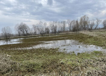 1625 sipërfaqe toke ende nën ujë/ Bashkia e Shkodrës bën bilancin e përmbytjeve