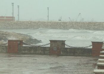 E rëndë!/ Gjendet trupi i pajetë në portin e Durrësit, policia vijon kërkimet për nxjerrjen e trupit