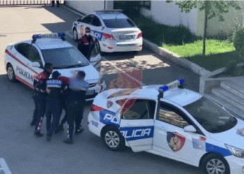 I shpallur në kërkim ndërkombëtar, arrestohet shqiptari me dy mbiemra