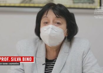 Silva Bino