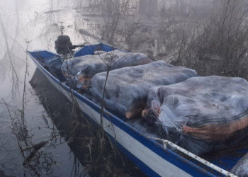 Sekuestrohen 222 kg marijuanë në liqenin e Shkodrës, arrestohen 2 malazezë(FOTO)