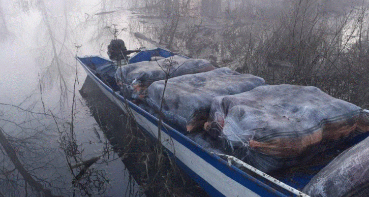 Sekuestrohen 222 kg marijuanë në liqenin e Shkodrës, arrestohen 2 malazezë(FOTO)