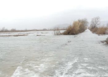 Reshjet e dendura të shiut, përmbyten fshatrat e Krujës