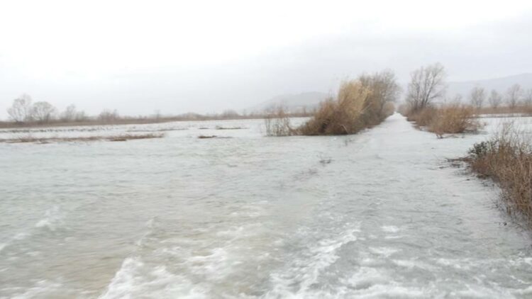 Reshjet e dendura të shiut, përmbyten fshatrat e Krujës