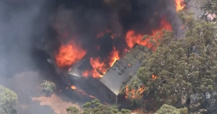 Australi/ Zjarri pushton qytetin, banorët detyrohen të thyejnë karantinën