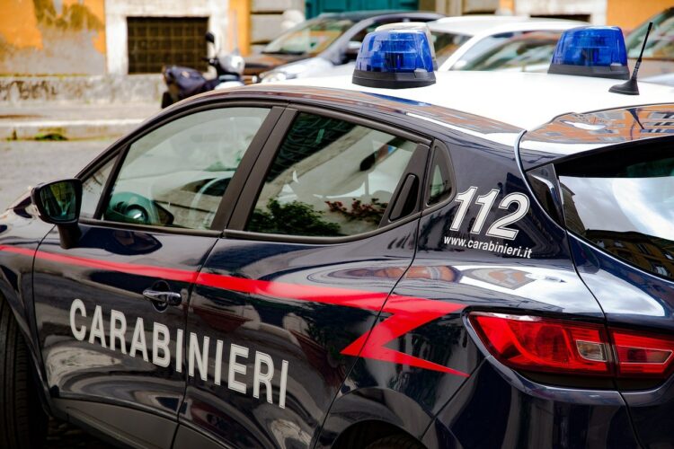 ‘Ndragheta’/ MEGA- Operacion policor në familjet e pjestarëve të mafias