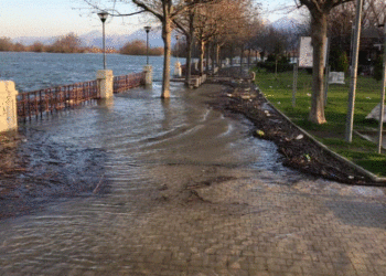Situatë alarmante në Shkodër: 1900 hektarë tokë dhe 9 shtëpi të përmbytura në Dajç