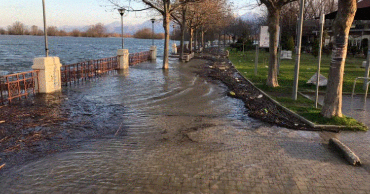 Situatë alarmante në Shkodër: 1900 hektarë tokë dhe 9 shtëpi të përmbytura në Dajç