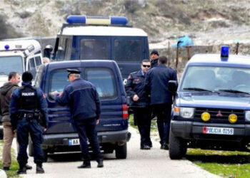 Dje u  raportua e vetëvrarë/ 12-vjeçarja në Velipojë është vrarë nga vëllai i saj i mitur me armë gjuetie