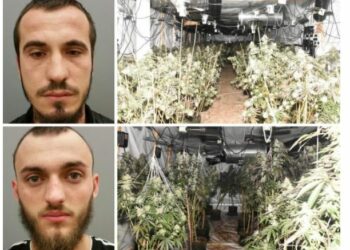 EMRAT+FOTO/ 2 shqiptarët kapen me 7 milionë paund drogë në fermën e kanabisit në Britani