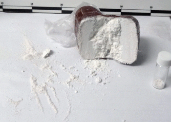 Kishte destinacion Holandën, konfiskohen 23 ton kokainë në vlerën e miliarda eurove