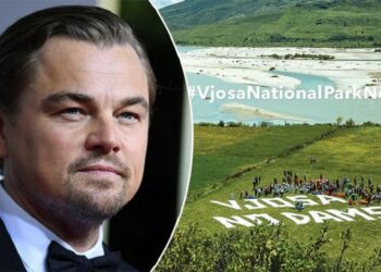 Solidarizimi për lumin Vjosa, Leonardo DiCaprio kërkon reagimin e krerëve të politikës shqiptare