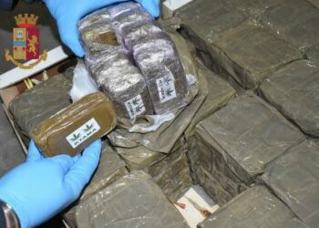 EMRAT/ Çifti shqiptar në Itali, iu gjet marijuanë me vlerën 2 milion euro. Gruaja tentoi të fshihte çelsin në të brendshme