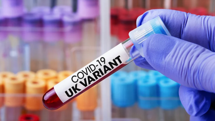 Studimi: Varianti britanik i COVID-19 nga 30 deri në 104% më vdekjeprurës sesa llojet e mëparshme