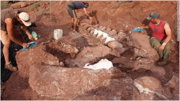 Arkeologët zbulojnë skeletin 140 milion vjeçar të krijesës më të madhe të tokës