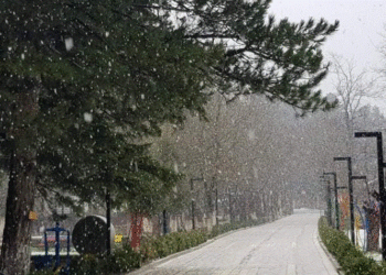 Ulen temperaturat, nisin rreshjet e borës në Llogara