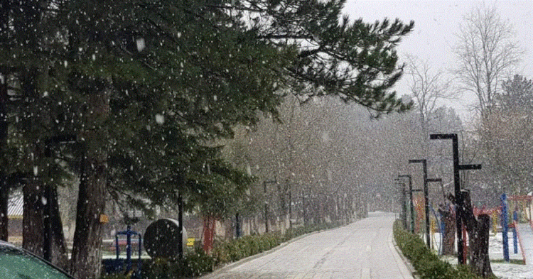 Ulen temperaturat, nisin rreshjet e borës në Llogara