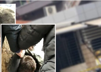 Emrat/ Gjithçka nisi tek shkallët e xhamisë, si plagosi pa mëshirë me thikë 5 persona autori