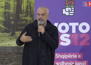 Rama në Fier: Biznesi i vogël motor i punësimit dhe i vetëpunësimit