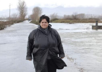 COVID-19 i merr jetën gazetares nga Shkodra