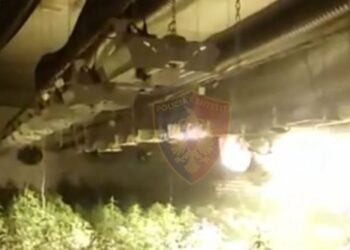 Ndërtoi laborator droge në Kurbin, arrestohet drejtori i Kadastrës (DETAJET)