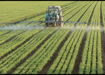 Programi i mbështetjes për bujqësinë, 40% e fondeve shkuan për fermerët, të tjerat shpenzime korrente