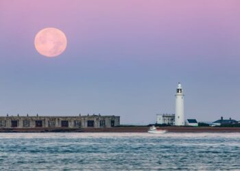 Historiku i zgjedhjeve në Shqipëri/ Rrethi vicioz 100-vjeçar na vërtit rreth turkut