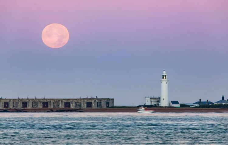 Historiku i zgjedhjeve në Shqipëri/ Rrethi vicioz 100-vjeçar na vërtit rreth turkut