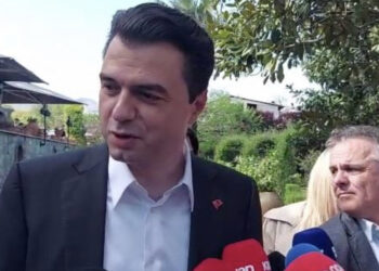 Basha thirrje nga Elbasani: Dita juaj, dilni votoni!