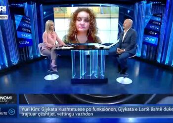 Modeli i duhur i taksimit në Shqipëri? Flet eksperti: Në vendin tonë administrimi tatimor ka rënë komplet