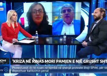 Keqmenaxhimi me ‘Albcontrol’/ Eksperti Goxhaj: Pagat e kontrollorëve janë më të ulta në Ballkan dhe Europë!