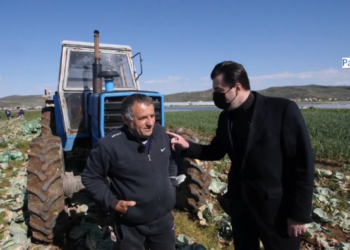 “Rama të vijë të tregojë programin”/Basha-fermerit: Subvencionet do t’i bëjmë ne realitet