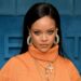 Instagram i Rihannës përfundon në dorën e një protestuesi