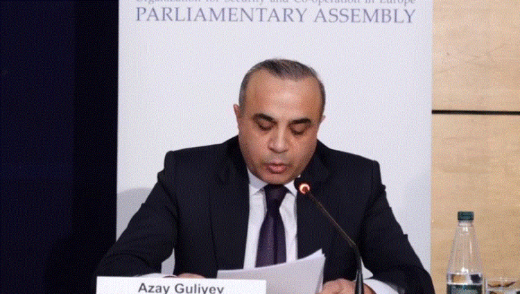 Misioni i ODIHR për zgjedhjet: U ushtrua presion mbi administratën, dënojmë vrasjen në Elbasan