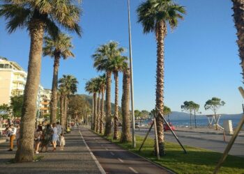 Shkodra, Lezha dhe Vlora, këto janë qytetet me rritjen më të lartë të papunësisë në vitin 2020