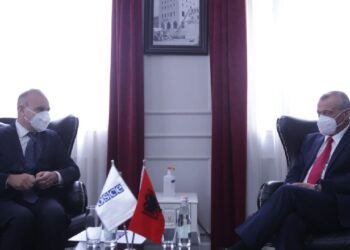 Ruçi takon kreun e OSBE-së në Tiranë, Vincenzo Del Monaco