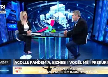 A do të falen gjobat ndaj biznesit të vogël? Agolli: Bizneset janë në prag mbijetese, qeveria të ndihmojë!