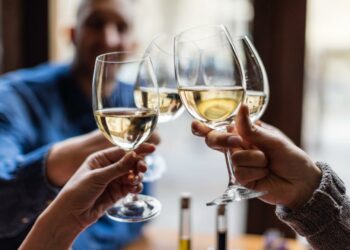 E dinit çfarë ndikimi ka konsumi i alkoolit tek truri?