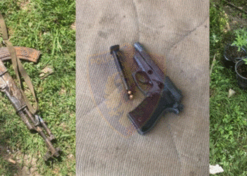 Iu gjetën fidanë kanabisi dhe armë, arrestohen babë e bir në Laç