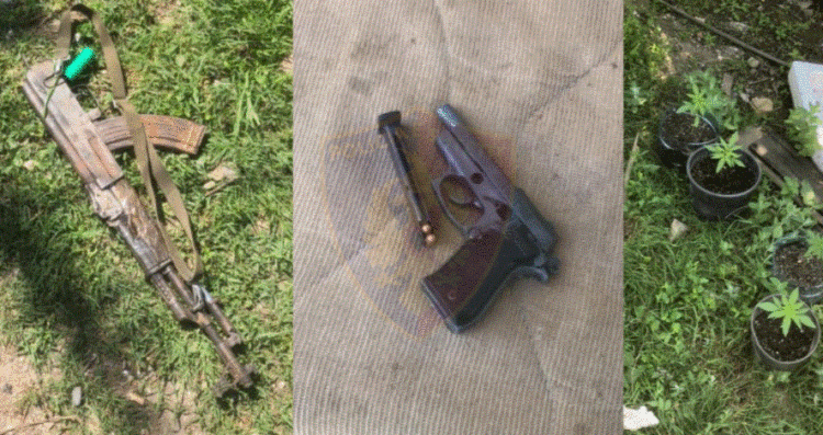 Iu gjetën fidanë kanabisi dhe armë, arrestohen babë e bir në Laç