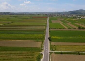 Rama: Eksportet bujqësore do t’i çojmë mbi tavanin e 1 miliard dollarëve