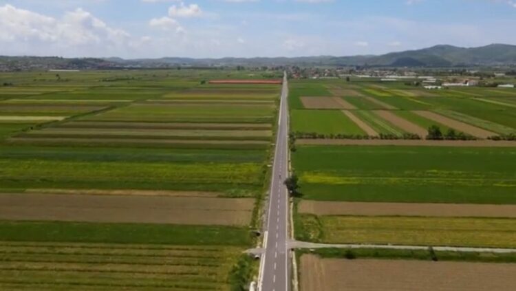 Rama: Eksportet bujqësore do t’i çojmë mbi tavanin e 1 miliard dollarëve