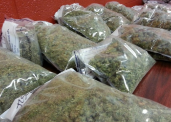 EMCDDA: Pandemia e nxiti më tej përdorimin e drogës, në Shqipëri vdekje nga mbidoza