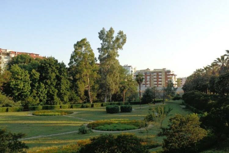 Kopshti Botanik i mbetet Universitetit, Gjykata Administrative rrëzon VKM që e kalonte tek Bashkia