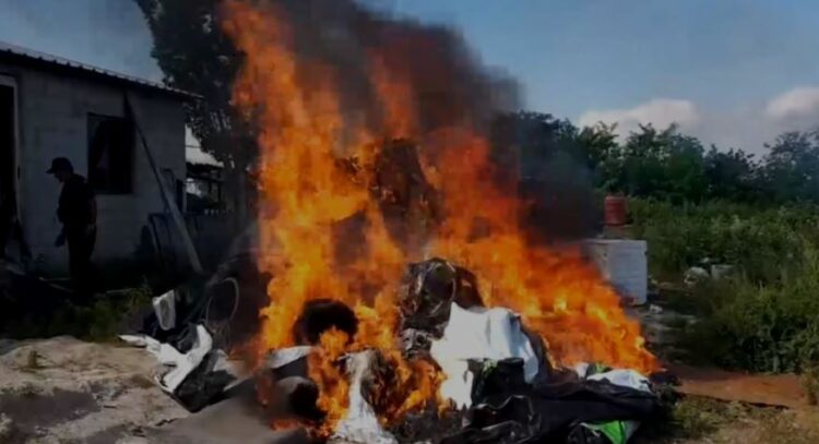 Laborator kanabisi në Krujë, arrestohen 16 persona, 3 të tjerë procedohen në gjendje të lirë, në kërkim 24