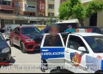 Transportonte drejt Tiranës 9 emigrantë të paligjshëm, arrestohet 27-vjeçari