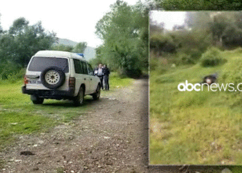 Dalin PAMJET/ Trupi ‘shoshë’ me plumba, si u vra Endri Mustafa në Shkodër?