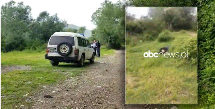 Dalin PAMJET/ Trupi ‘shoshë’ me plumba, si u vra Endri Mustafa në Shkodër?